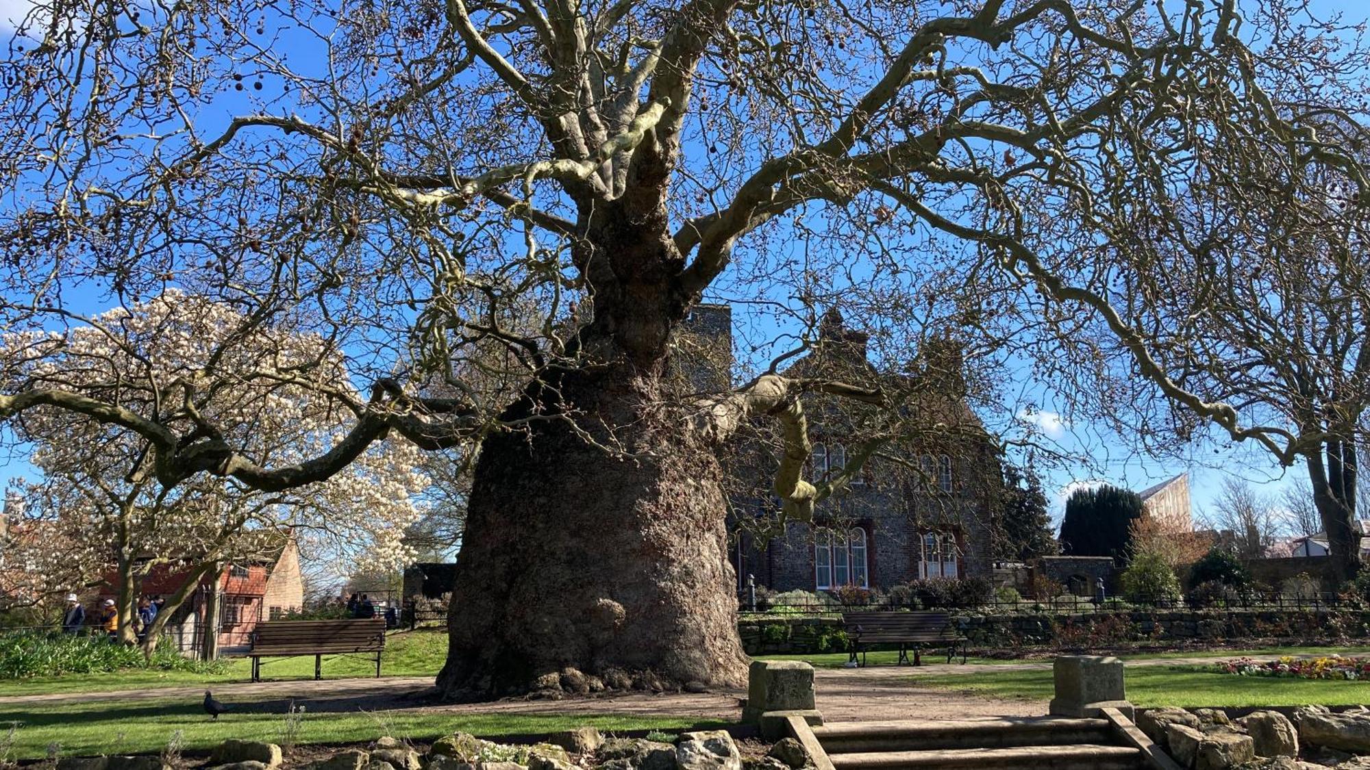 Luxury Central Home - Parking & Ev Point, Superking Bed Canterbury Eksteriør bilde
